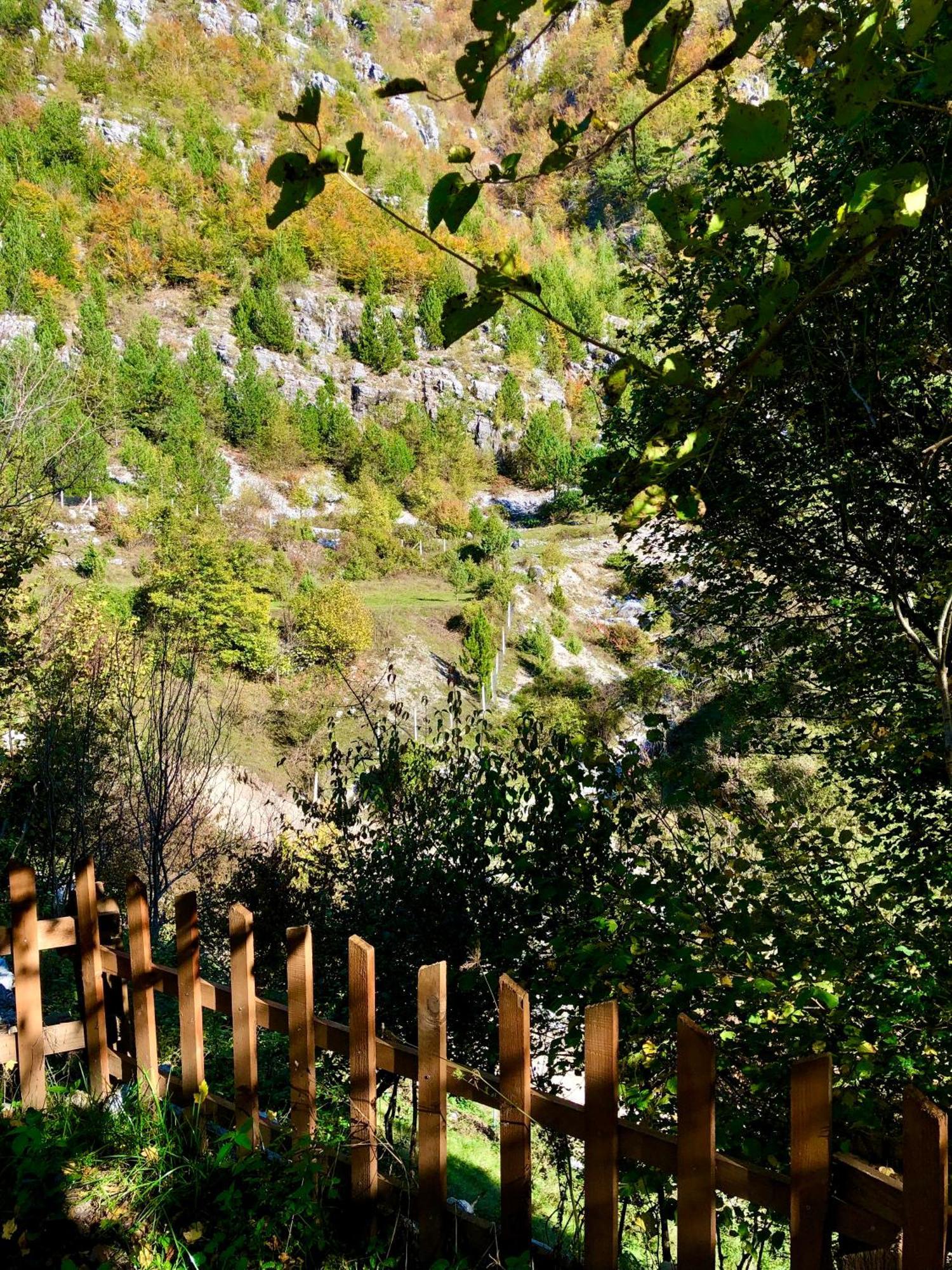 Bujtina Pllumi Theth Bed & Breakfast Ngoại thất bức ảnh